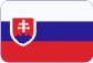 Drôtený program Slovensky